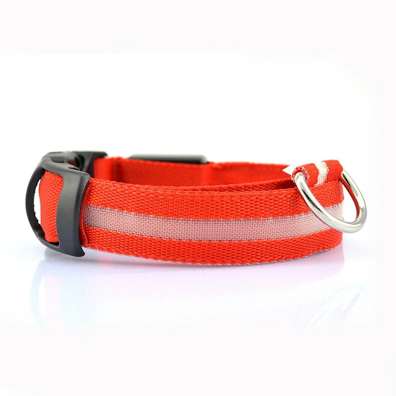 LED Dog Collar